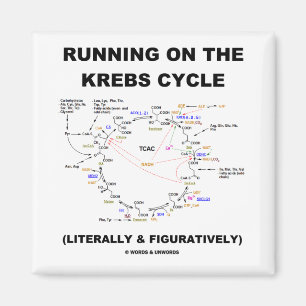 Laufen auf dem Krebs-Zyklus (Science Spaß) Magnet