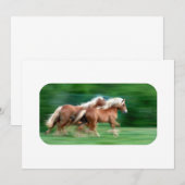 Laufen der Palomino-Einladungen Einladung (Vorne/Hinten)