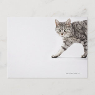 Laufen Postkarte
