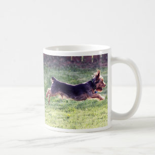 Laufen Yorkshires Terrier Kaffeetasse