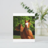 Laufend Postkarte (Stehend Vorderseite)