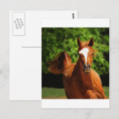 Laufend Postkarte (Vorne/Hinten)