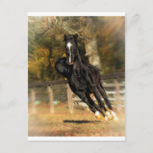 Laufend Postkarte