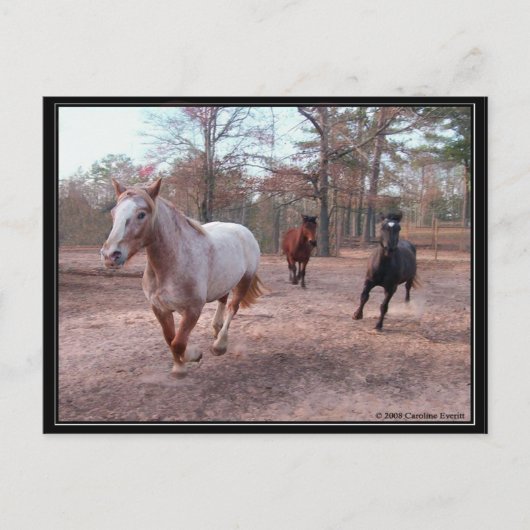 Laufend Postkarte (Vorderseite)