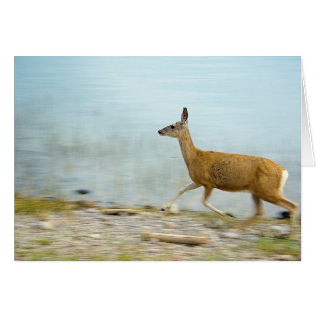 Laufende Dot-Karte (Vorderseite (Horizontal))