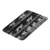 Laufende Hunde, Platte 707 von 'Animal Locomotion' Magnet (Linke Seite)
