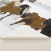 Laufende Pferde auf der Hideout Ranch Sherpadecke (3/4)