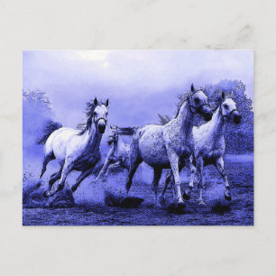 Laufende Pferde & Blaue Mondnacht Postkarte