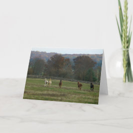 Laufende Pferde, Karte