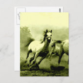 Laufende Pferde Postkarte (Vorne/Hinten)