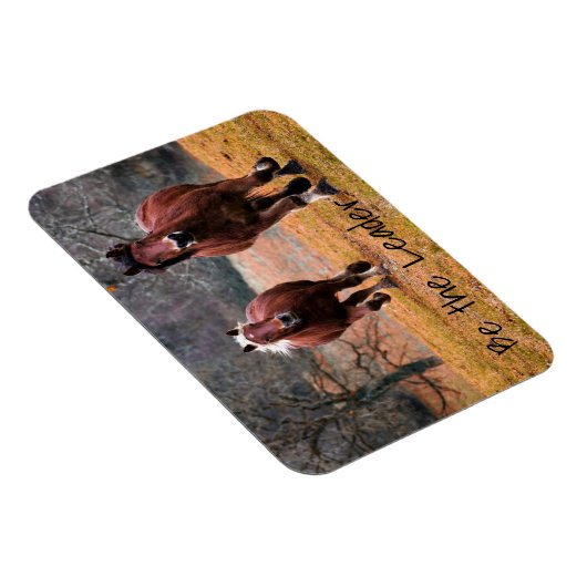 Laufende Pferde sind der Führer Magnet (Rechte Seite)