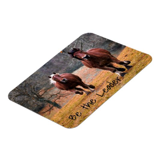 Laufende Pferde sind der Führer Magnet (Linke Seite)