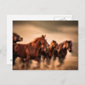 Laufende Pferde, Weichheit und fliegende Mähne Postkarte (Vorne/Hinten)