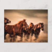 Laufende Pferde, Weichheit und fliegende Mähne