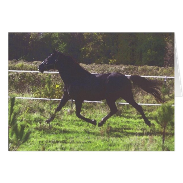 Laufende Pferdekarte (Vorderseite (Horizontal))