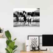 Laufende Pferdeposter-Printwerbung - B&W Pferdepla Poster (Heimbüro)