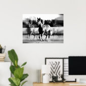 Laufende Pferdeposter-Printwerbung - B&W Pferdepla Poster (Heimbüro)