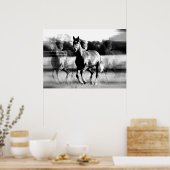 Laufende Pferdeposter-Printwerbung - B&W Pferdepla Poster (Küche)