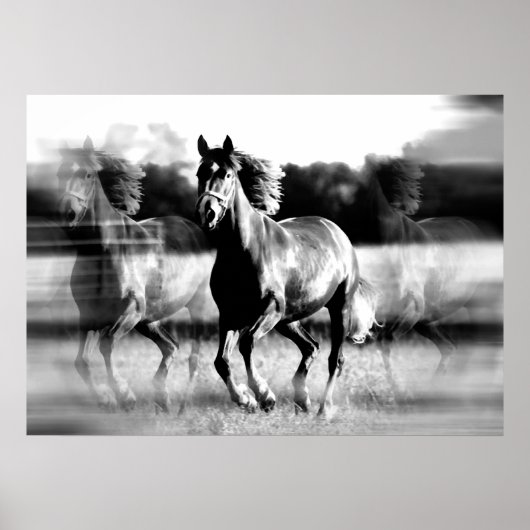 Laufende Pferdeposter-Printwerbung - B&W Pferdepla Poster (Vorne)
