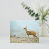 Laufende Postkarte (Stehend Vorderseite)