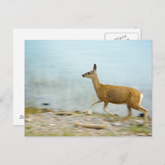 Laufende Postkarte (Vorne/Hinten)