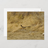 Laufende Roadrunner-Postkarte Postkarte (Vorne/Hinten)