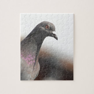 Laufende Taube Puzzle