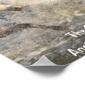 Laufende weiße Camargue-Pferde in Wasserplakat Poster (Ecke)