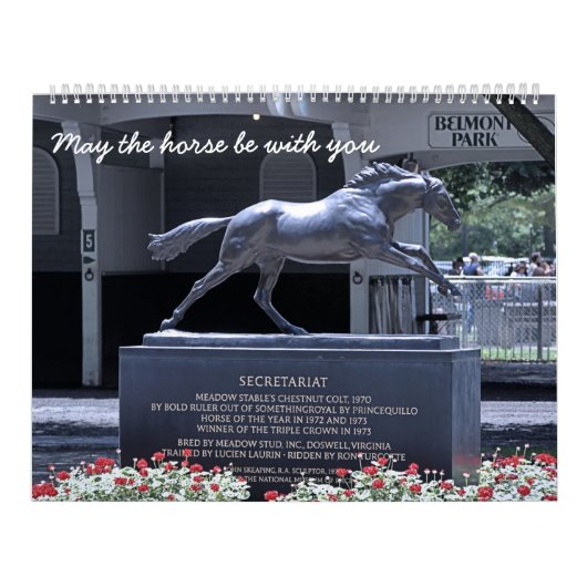 Laufender Fan Kalender (Titelbild)