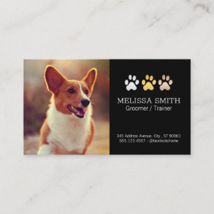 Laufender Hund   Dog Trainer und Groomer Appt Terminkarte