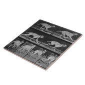 Laufender Hund, überziehen 707 "von der Fliese (Seite)