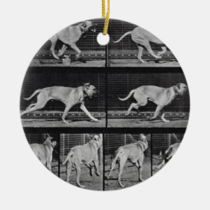 Laufender Hund, überziehen 707 "von der Keramik Ornament