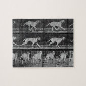 Laufender Hund, überziehen 707 "von der Puzzle (Horizontal)