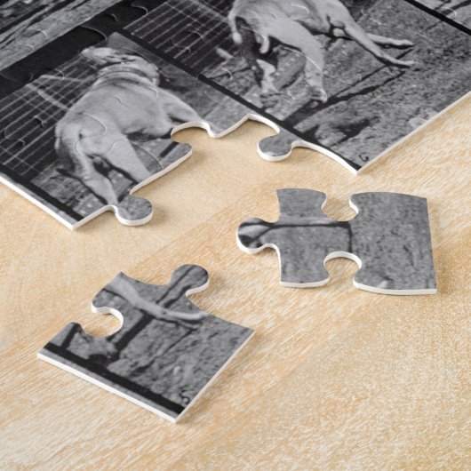 Laufender Hund, überziehen 707 "von der Puzzle (Seite)