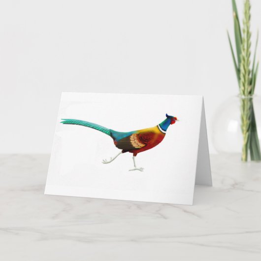 Laufender männlicher Ringneck Fasan Karte (Vorderseite)