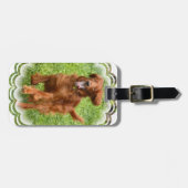 Laufender Setter-Gepäckanhänger Gepäckanhänger (Vorderseite horizontal)