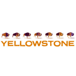 Laufender Yellowstone-Bison T-Shirt