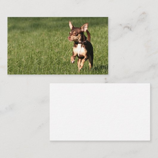 Laufendes Chihuahuageschäft oder -Visitenkarte Visitenkarte (Vorne/Hinten)