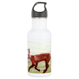 laufendes Foto von Rotfuchs Edelstahlflasche