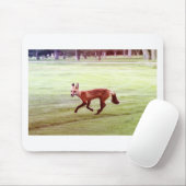 laufendes Foto von Rotfuchs Mousepad (Mit Mouse)