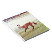 laufendes Foto von Rotfuchs Notizblock (angewinkelt)