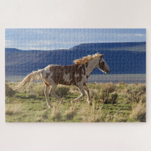 Laufendes Hengst, Steens Mountains, Oregon Puzzle