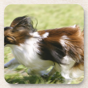 Laufendes Papillon Getränkeuntersetzer