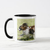 Laufendes Papillon Tasse (Links)