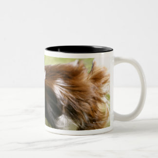 Laufendes Papillon Zweifarbige Tasse
