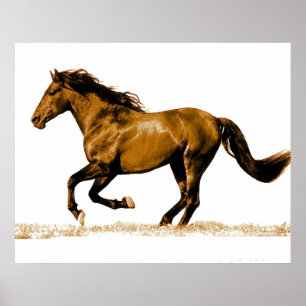 Laufendes Pferd Poster Druck