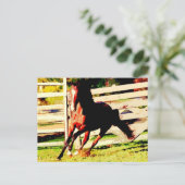 Laufendes Pferd Postkarte (Stehend Vorderseite)