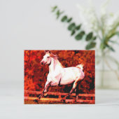 Laufendes Pferd Postkarte (Stehend Vorderseite)