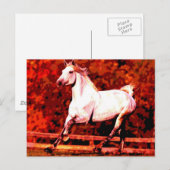 Laufendes Pferd Postkarte (Vorne/Hinten)