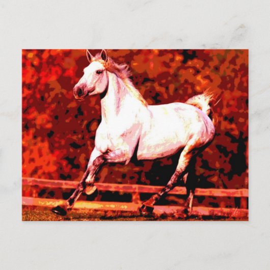 Laufendes Pferd Postkarte (Vorderseite)